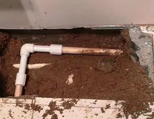 万秀测漏水哪家好