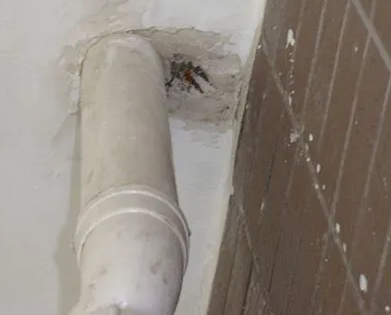 万秀漏水检测哪家好